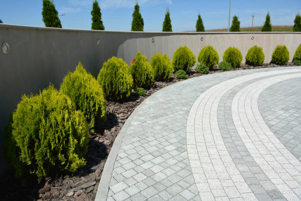 Professional Driveway Pavers in La Mirada, CA